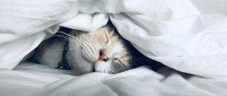 10 признаков выгорания, которые легко перепутать с усталостью
